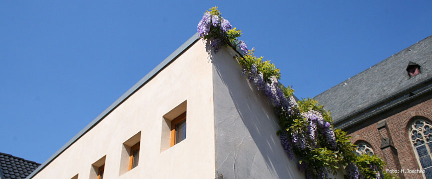 Einfamilienhaus Stommeln 03